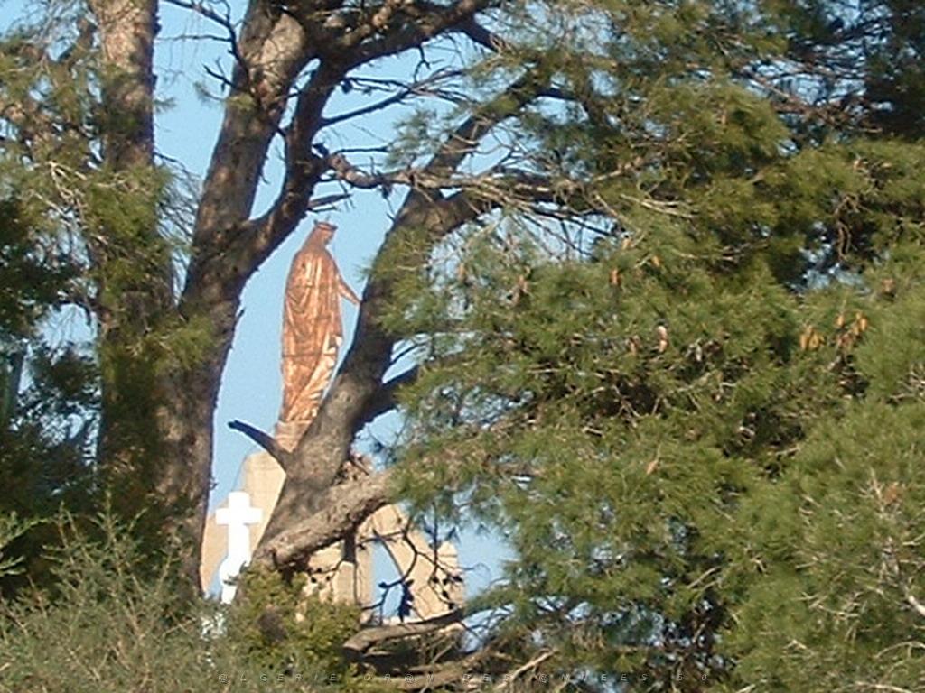ORAN SANTA CRUZ (221).jpg